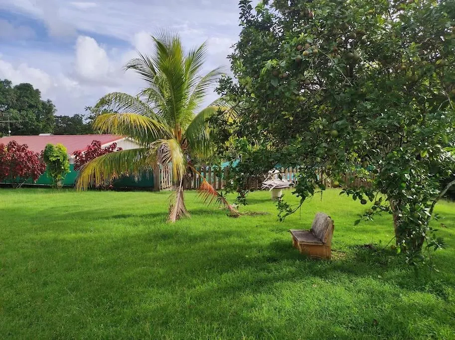 Villa Familiale Avec Piscine Le Marin マルティニーク